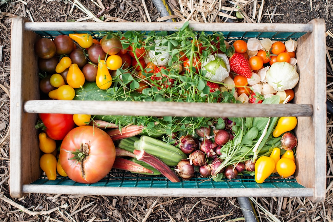 Photo Fresh vegetables